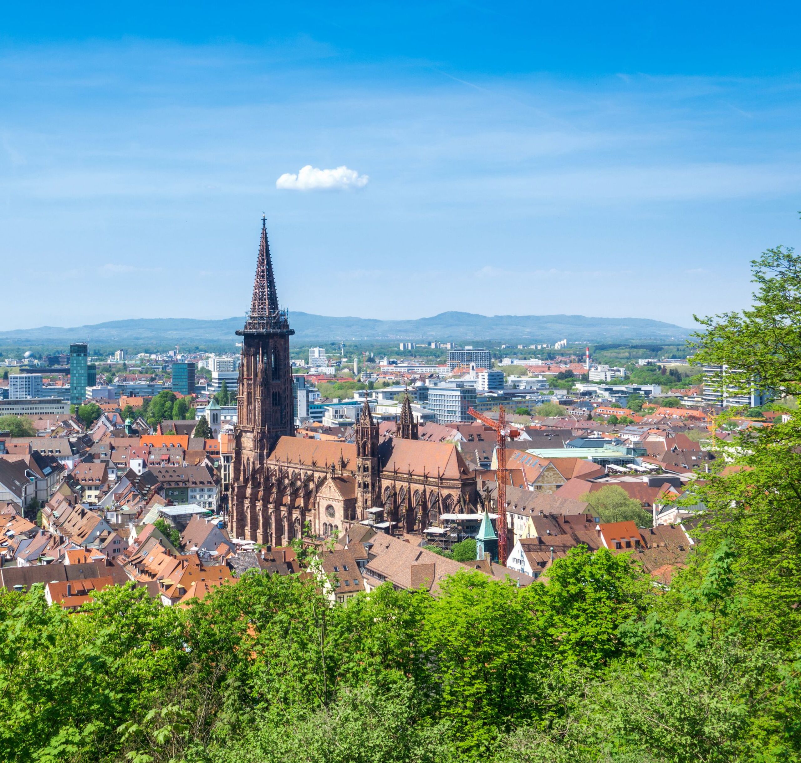Freiburg Stadt Gebäude