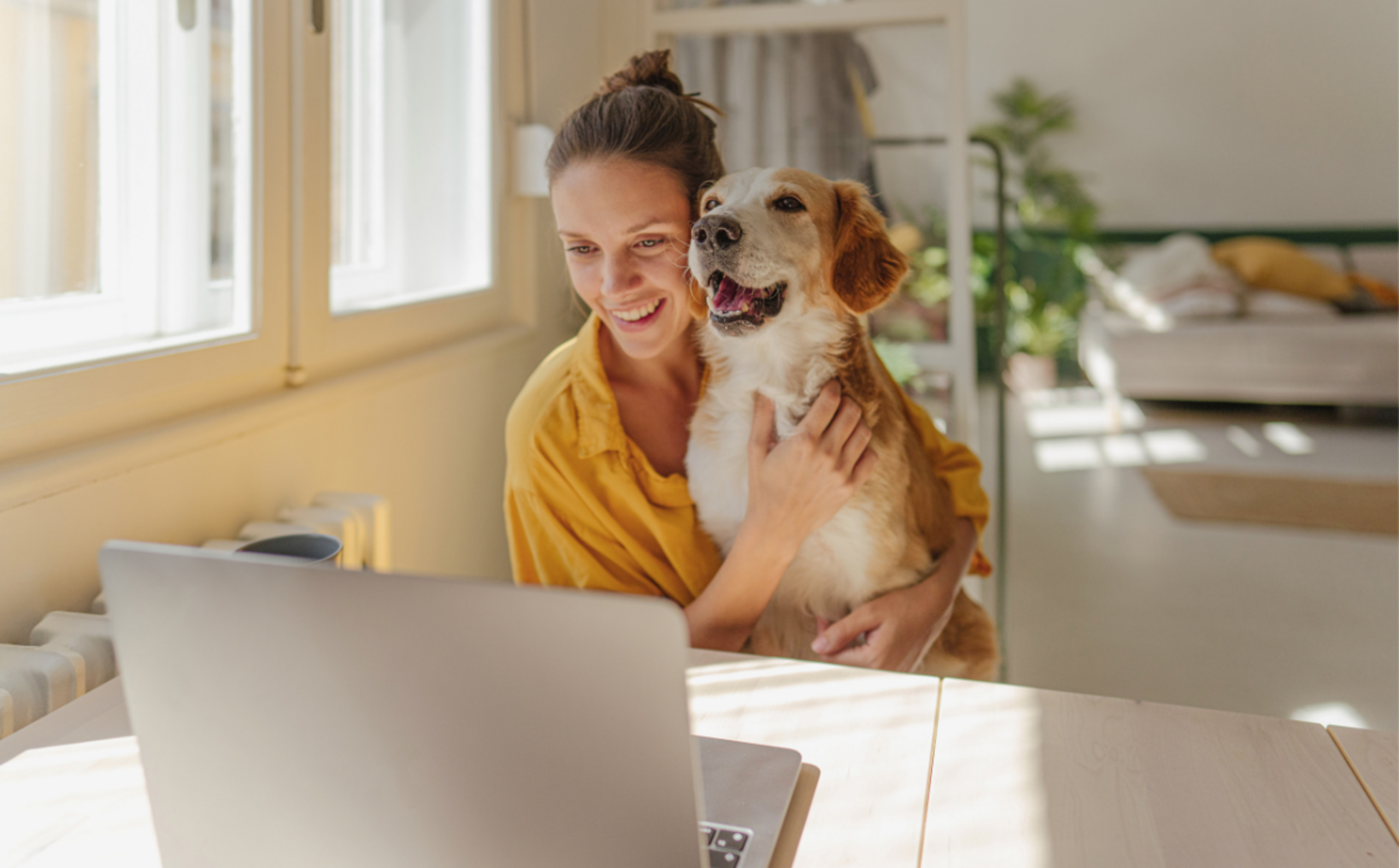 Frau Hund gelbes Shirt Laptop