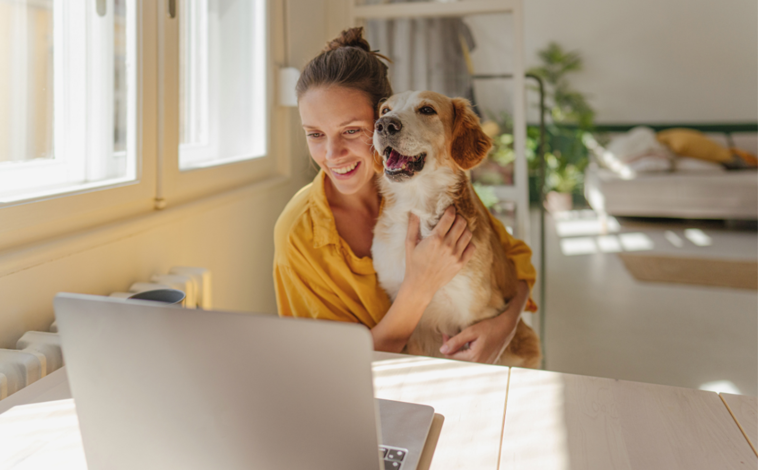 Frau Hund Laptop Wohnung